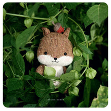 Load image into Gallery viewer, Rio - the squirrel