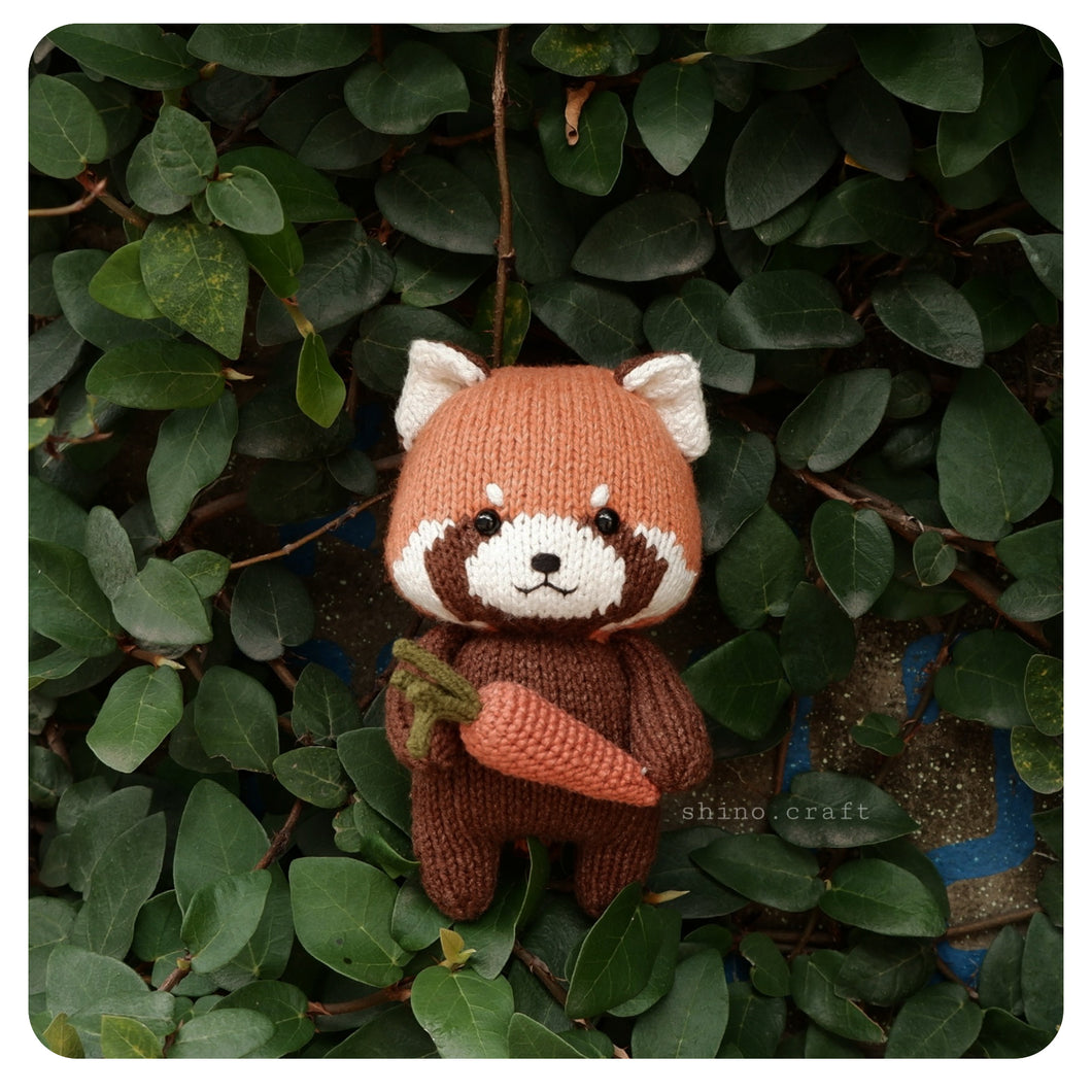 Ichigo - the red panda.